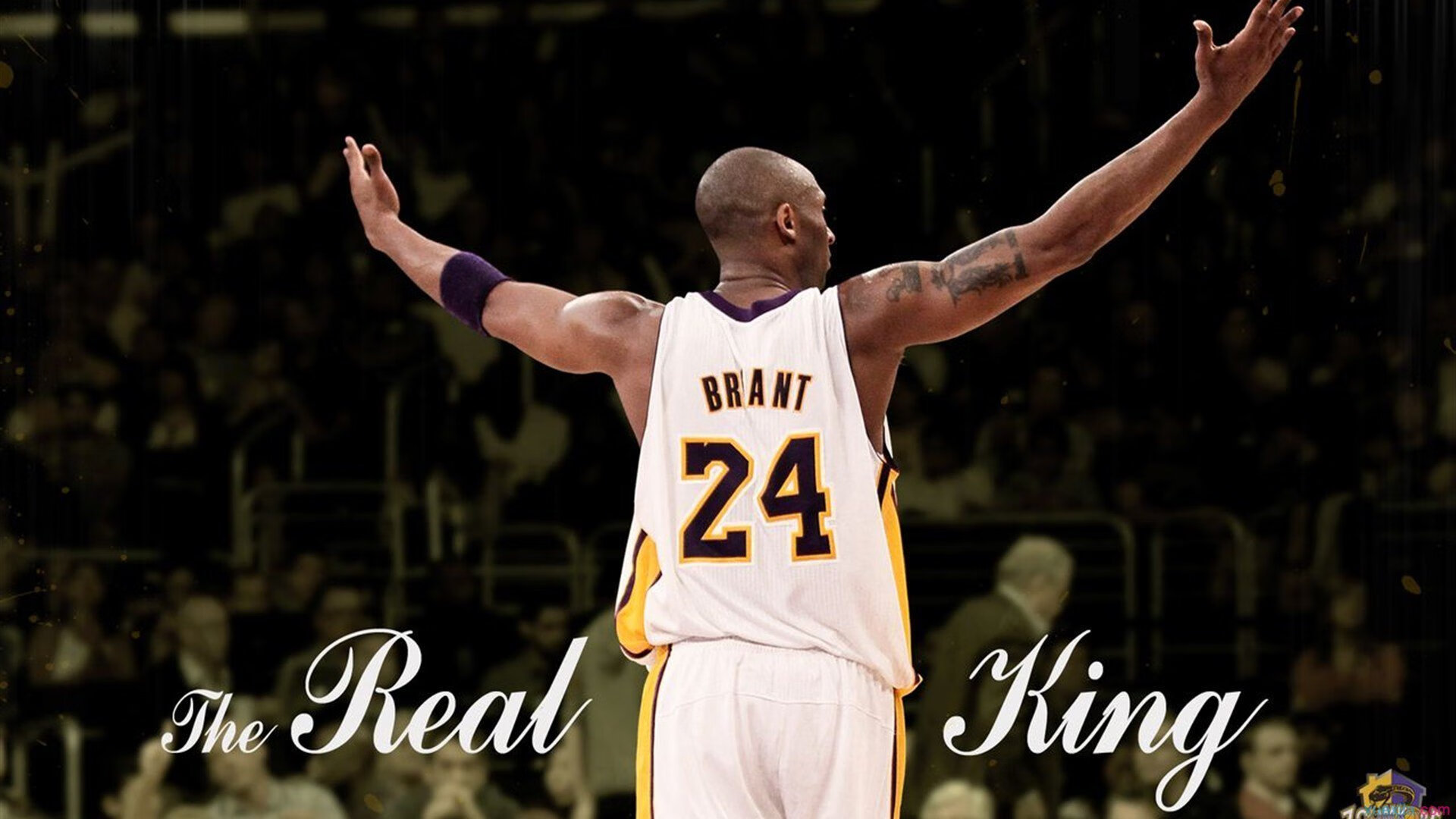 爵士强势夺冠！，爵士强势夺冠图片